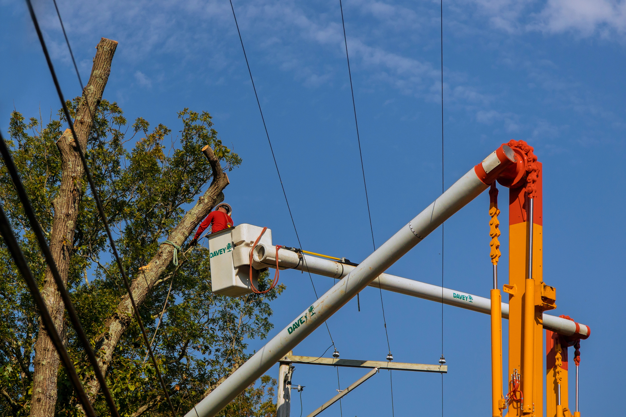 Višinsko obžagovanje dreves zahteva izkušnje in primerno opremo.